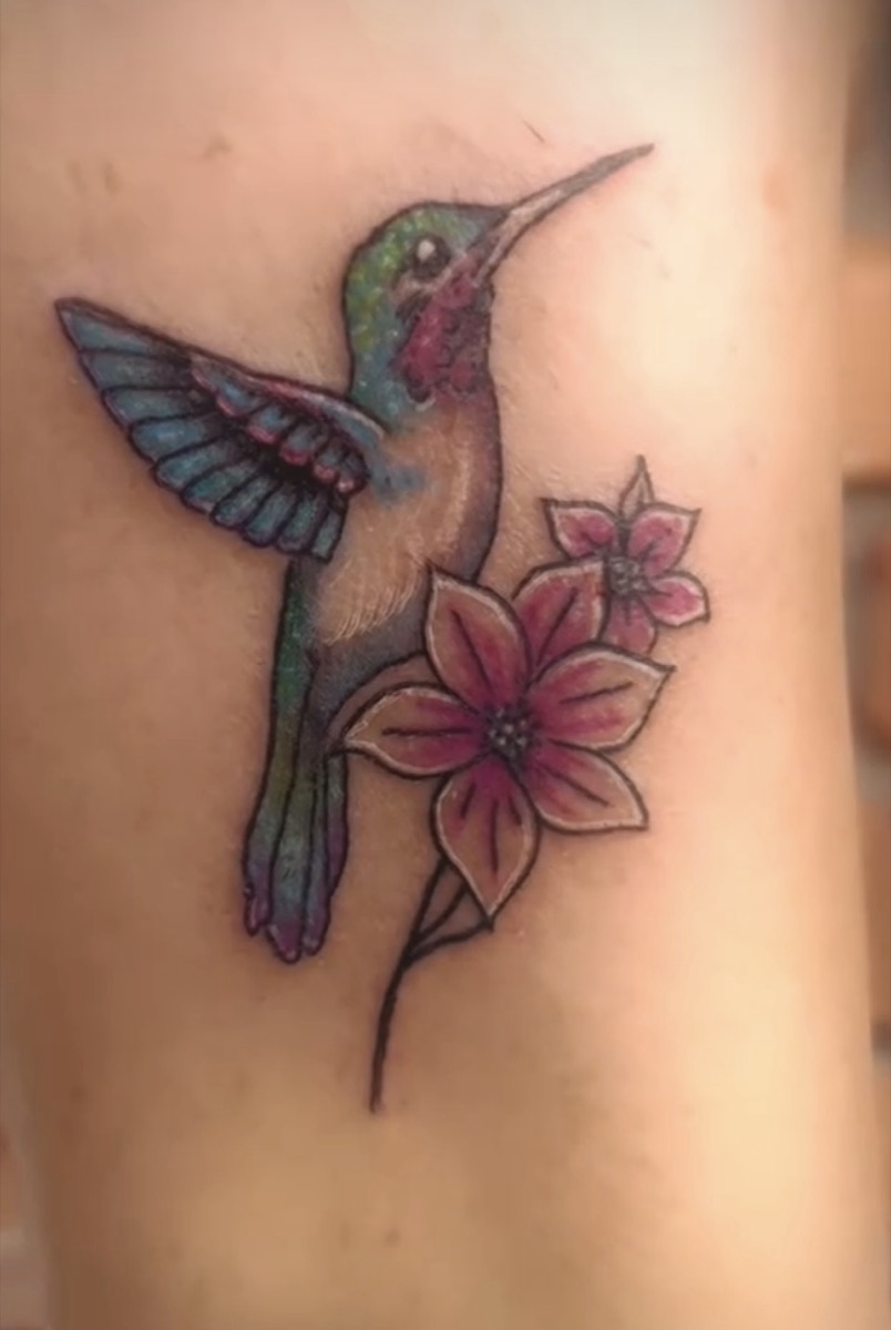 Color hummingbird and cherry blossom